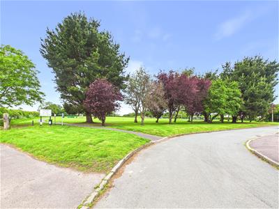 Picture 24